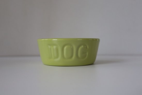 DOGBOWL S ȥ롼