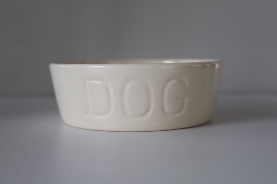 DOGBOWL M ۥ磻