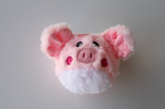 Pig 4