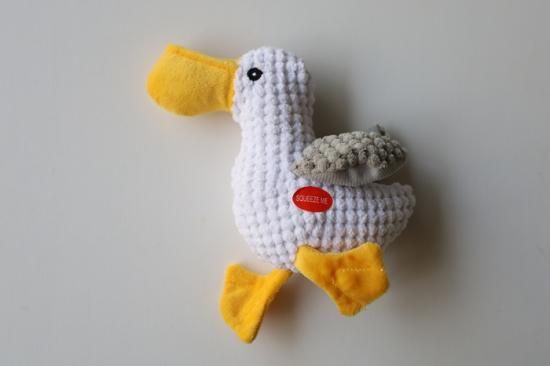 <img class='new_mark_img1' src='https://img.shop-pro.jp/img/new/icons14.gif' style='border:none;display:inline;margin:0px;padding:0px;width:auto;' />Seagull 6