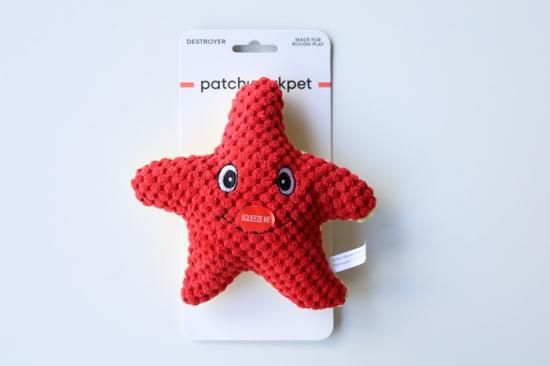Starfish 6