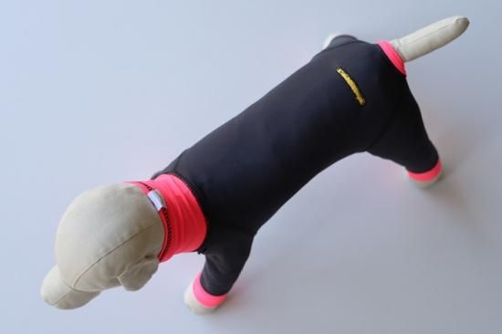 4leg - ドッグデコ | 犬と人の健やかな暮らしのために