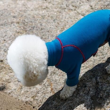 アルファアイコン HOT DOG GUARD - ドッグデコ | 犬と人の健やか