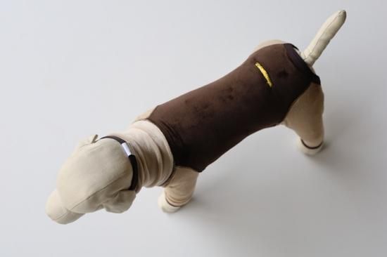 GEORGE - ドッグデコ | 犬と人の健やかな暮らしのために