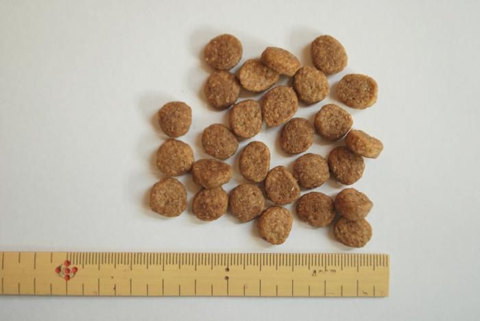 パーティアニマル ドッグフード 2 26kg 2 26kg 1袋 ドッグデコ 犬と人の健やかな暮らしのために パーティアニマル ドッグフード 2 26kg 2 26kg 1袋 ドッグデコ 犬と人の健やかな暮らしのために
