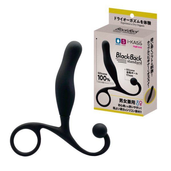 ●送料無料●i-KASS BlackBack スタンダード