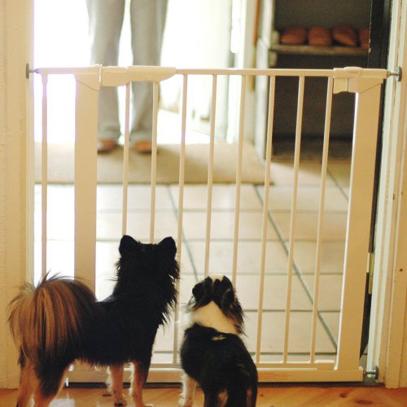 飛び出し防止 ペットゲート - we dog & cat home furnishing