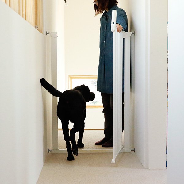 飛び出し防止 ペットゲート トール - we dog & cat home furnishing