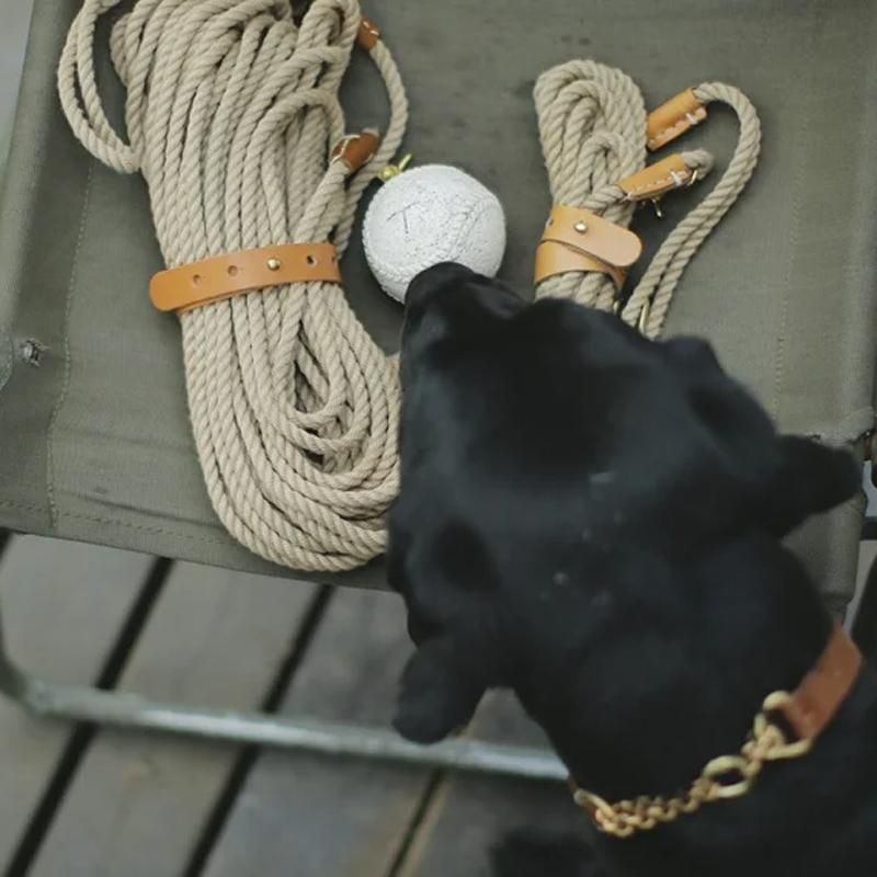 犬の首輪 リード トレーニング グッドマナーズリーシュ ロングタイプ We Dog Cat Home Furnishing 犬の首輪 リード トレーニング グッドマナーズリーシュ ロングタイプ We Dog Cat Home Furnishing