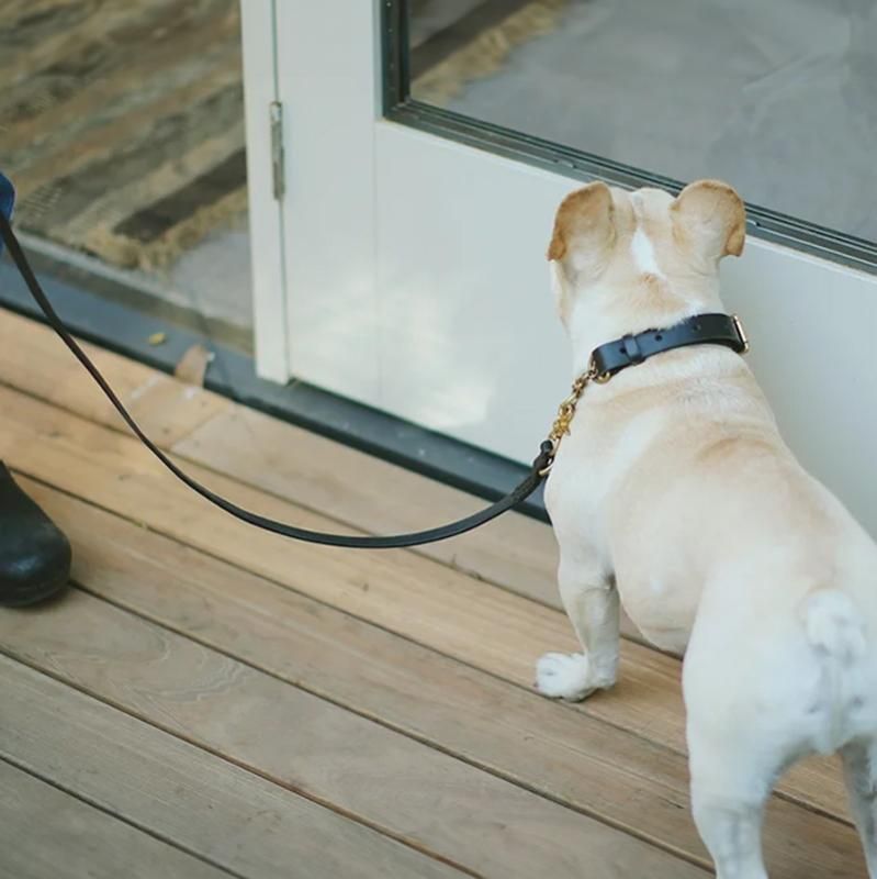 犬の首輪＆リード｜スムーズレザーリーシュ ブラック｜we dog