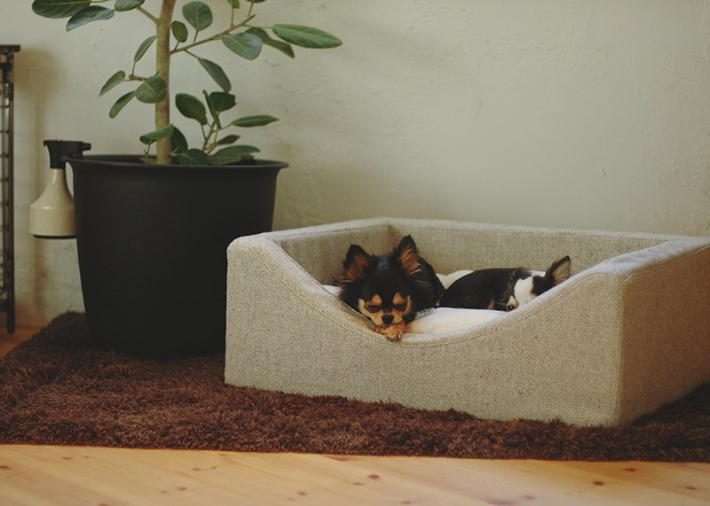 カドラー Nap Soft Type 価格改正前の特別価格 We Dog Cat Home Furnishing