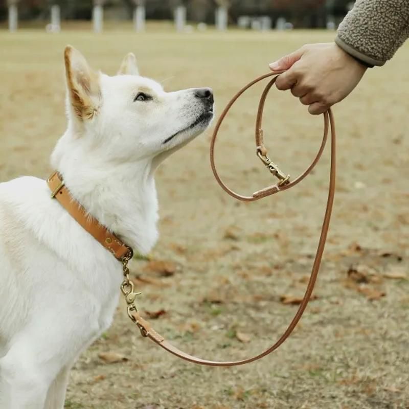 犬の首輪＆リード｜スムーズレザーリーシュ ナチュラル｜we dog & cat
