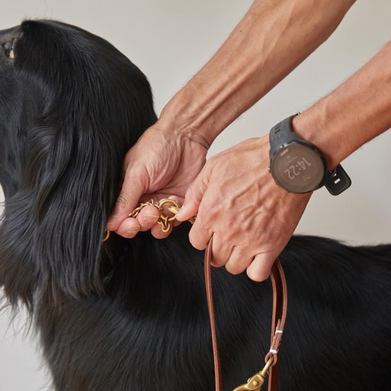 犬の首輪 リード スムーズレザーリーシュ ブラウン We Dog Cat Home Furnishing 犬の首輪 リード スムーズレザーリーシュ ブラウン We Dog Cat Home Furnishing