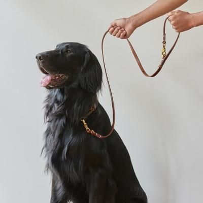 SMOOTH LEATHER LEASH / Brown - we original -ξʲ
