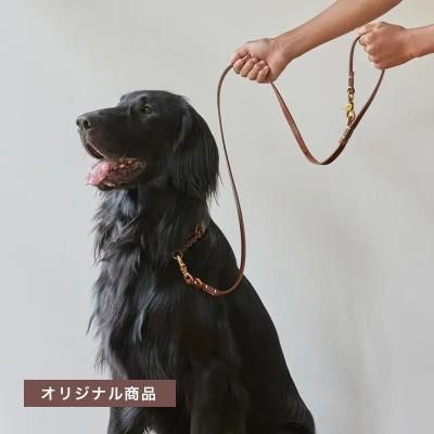 SMOOTH LEATHER LEASH / Brownξʲ