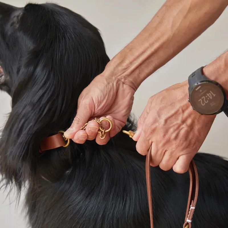 犬の首輪＆リード｜ハーフチェーンカラー ナチュラル｜we dog