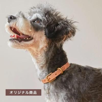 SMOOTH LEATHER COLLAR / Naturalξʲ