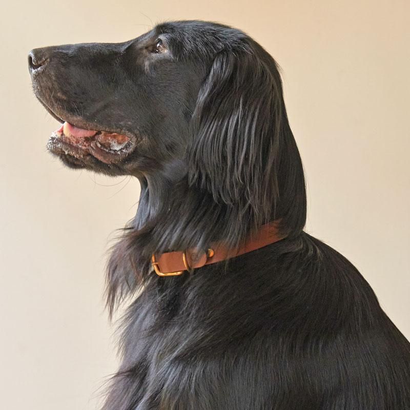 犬の首輪＆リード｜スムーズレザーカラー ブラウン｜we dog