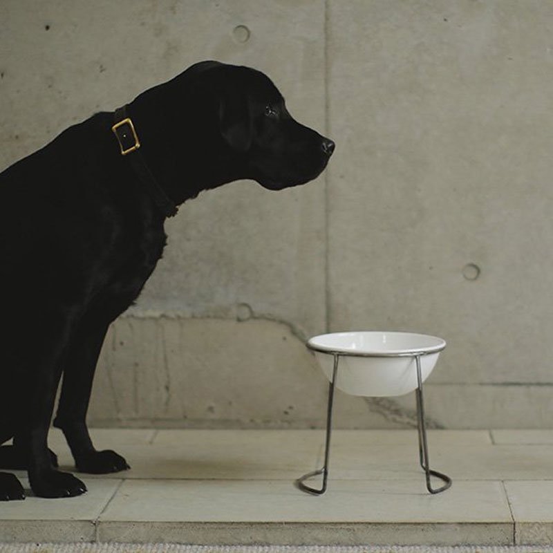 BOWL ＆ STAND SET - we original - we dog & cat home furnishing