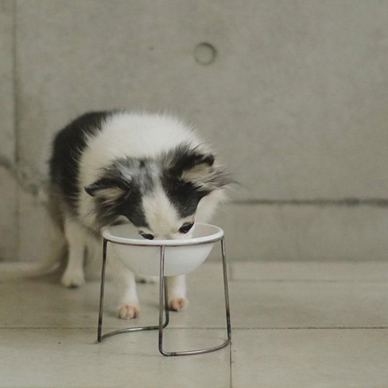 野田琺瑯 BOWL & STAND SET 犬 猫 フードボウル 野田琺瑯 BOWL & STAND SET 先行予約開始 – blog | we ONLINE STORE