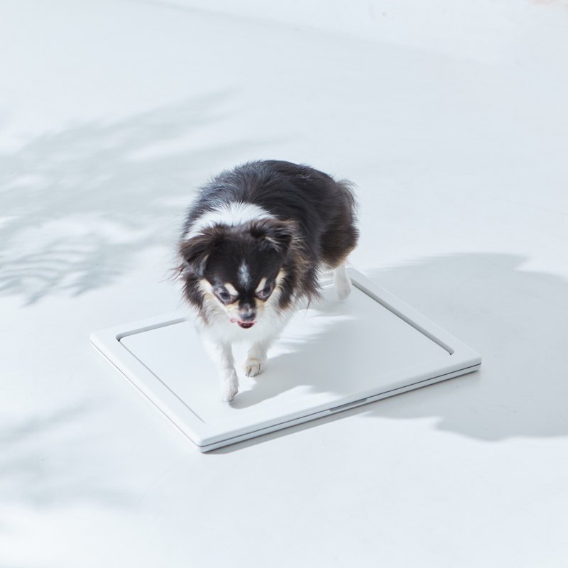 犬のトイレstone Litter Paneco Friendly Production Series We Original We Dog Cat Home Furnishing