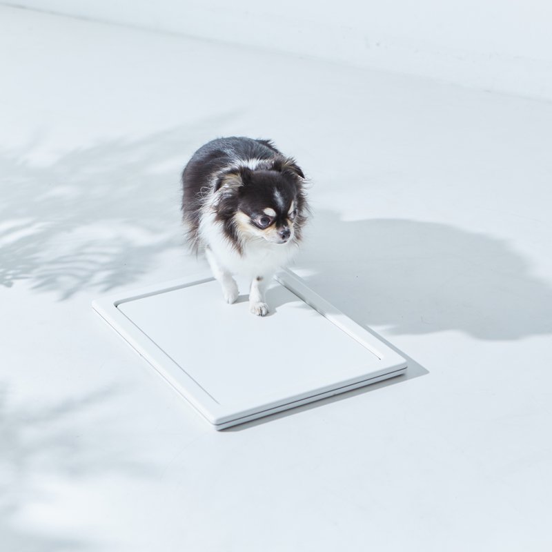 ホワイト人工大理石 犬用トイレトレー ハンドメイド ホワイト トイレ用品 小型犬 ペット