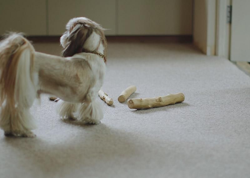 犬のおもちゃ Roop Coffee Wood Champ We Dog Cat Home Furnishing 犬のおもちゃ Roop Coffee Wood Champ We Dog Cat Home Furnishing