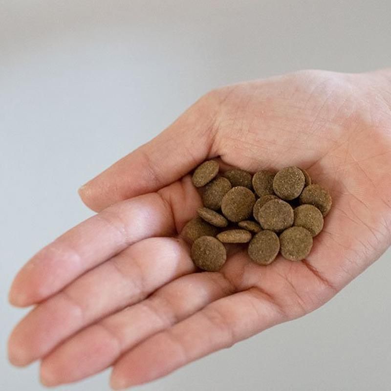 KiaOra DOG｜グラスフェッドビーフ＆サーモン - we dog & cat home