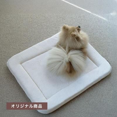 륯åɥ饤ޥåȥ쥹 / IVORYξʲ