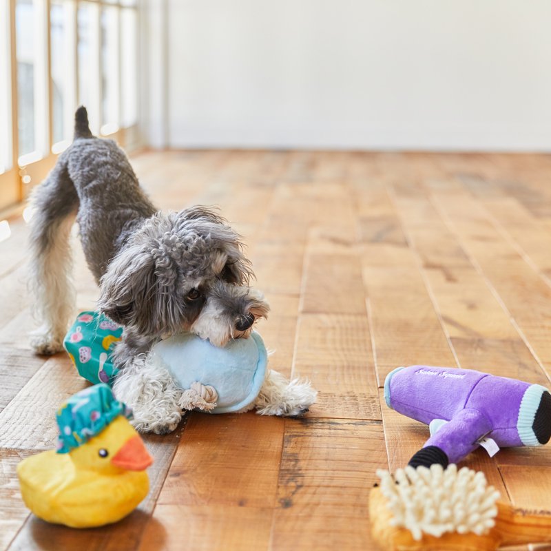 犬 安い シャワーキャップ