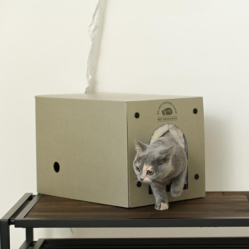 Haulsヤニ吉　ノベルティ 6点セット　はうき　猫猫猫はう　ZOCX Haulsヤニ吉 ノベルティ 6点セット はうき 猫猫猫はう ZOCX 猫