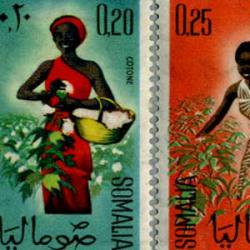 ソマリア 1961年収穫する人8種