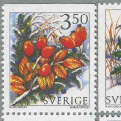 スウェーデン 1996年木の実4種