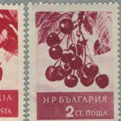 ブルガリア 1956年サクランボなど果実4種
