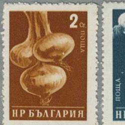 ブルガリア 1958年野菜6種