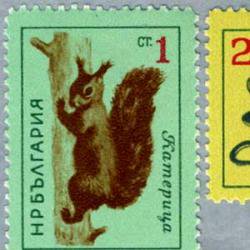 ブルガリア 1963年赤リスなど6種 - 日本切手・外国切手の販売・趣味の 