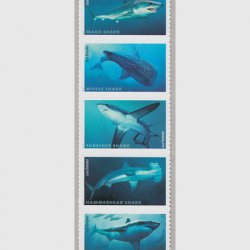 アメリカ 2017年サメ5種連刷
