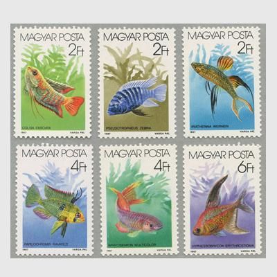 ハンガリー 1987年海水魚6種 日本切手 外国切手の販売 趣味の切手専門店マルメイト ハンガリー 1987年海水魚6種 日本切手 外国切手の販売 趣味の切手専門店マルメイト