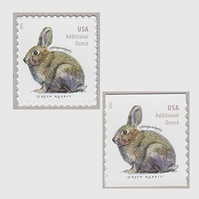 アメリカ 2021年ブラシウサギ - 日本切手・外国切手の販売・趣味の切手専門店マルメイト