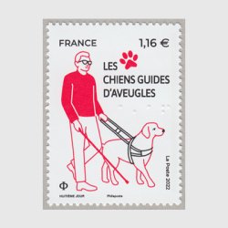フランス 2022年盲導犬