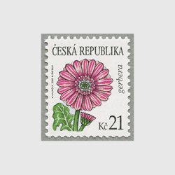 チェコ共和国 2008年ガーベラ