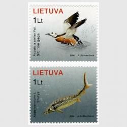 ȥ˥ 2006ǯ勵ȥХåᣲ<img class='new_mark_img2' src='https://img.shop-pro.jp/img/new/icons5.gif' style='border:none;display:inline;margin:0px;padding:0px;width:auto;' />