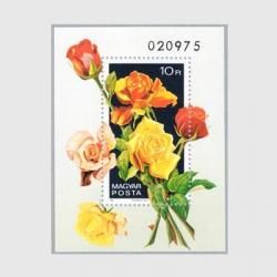 ϥ󥬥꡼ 1982ǯХβ«ȡʢ<img class='new_mark_img2' src='https://img.shop-pro.jp/img/new/icons5.gif' style='border:none;display:inline;margin:0px;padding:0px;width:auto;' />