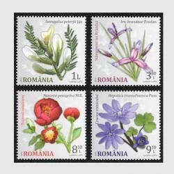 롼ޥ˥ 2015ǯʪβ֣<img class='new_mark_img2' src='https://img.shop-pro.jp/img/new/icons5.gif' style='border:none;display:inline;margin:0px;padding:0px;width:auto;' />