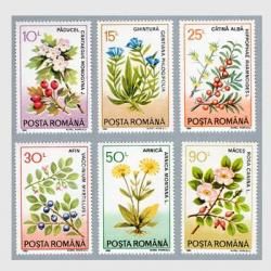 롼ޥ˥ 1993ǯ𣶼ʢ<img class='new_mark_img2' src='https://img.shop-pro.jp/img/new/icons5.gif' style='border:none;display:inline;margin:0px;padding:0px;width:auto;' />