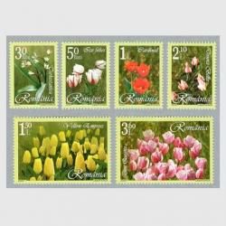 롼ޥ˥ 2006ǯ塼åף<img class='new_mark_img2' src='https://img.shop-pro.jp/img/new/icons5.gif' style='border:none;display:inline;margin:0px;padding:0px;width:auto;' />