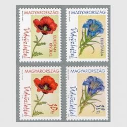 ϥ󥬥꡼  2016-2022ǯ֣<img class='new_mark_img2' src='https://img.shop-pro.jp/img/new/icons5.gif' style='border:none;display:inline;margin:0px;padding:0px;width:auto;' />