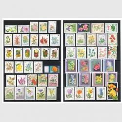 ϥ󥬥꡼β֤̤ڼ59<img class='new_mark_img2' src='https://img.shop-pro.jp/img/new/icons5.gif' style='border:none;display:inline;margin:0px;padding:0px;width:auto;' />