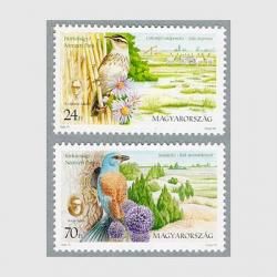 ϥ󥬥꡼ 1998ǯΩࣲ<img class='new_mark_img2' src='https://img.shop-pro.jp/img/new/icons5.gif' style='border:none;display:inline;margin:0px;padding:0px;width:auto;' />