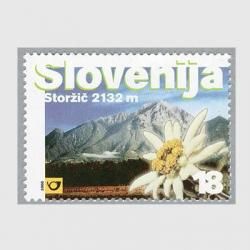 ٥˥ 2000ǯȥ른<img class='new_mark_img2' src='https://img.shop-pro.jp/img/new/icons5.gif' style='border:none;display:inline;margin:0px;padding:0px;width:auto;' />